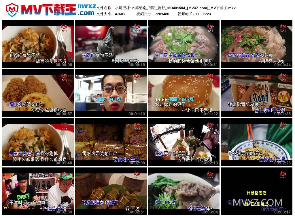 小尾巴-什么都想吃_国语_流行_MD401584